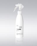 Erayba (Эрайба) Спрей для выравнивания структуры волос (Equalizer Spray), 200 мл.