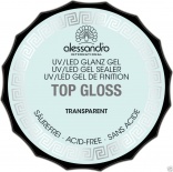 Alessandro (Алессандро) Защитный гель -финиш(прозрачный) (Top Gloss Gel Transparent), 15 г.