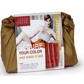 Joico (Джойко) Набор для стойкости цвета в косметичке (Secure Your Color Pre-pack Red), 300 мл.х 2+250 мл.+50 мл.